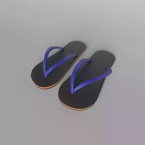 Flip Flops v2 002