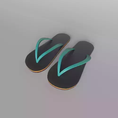 Flip Flops v2 003