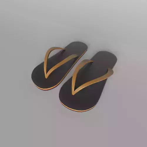 Flip Flops v2 004