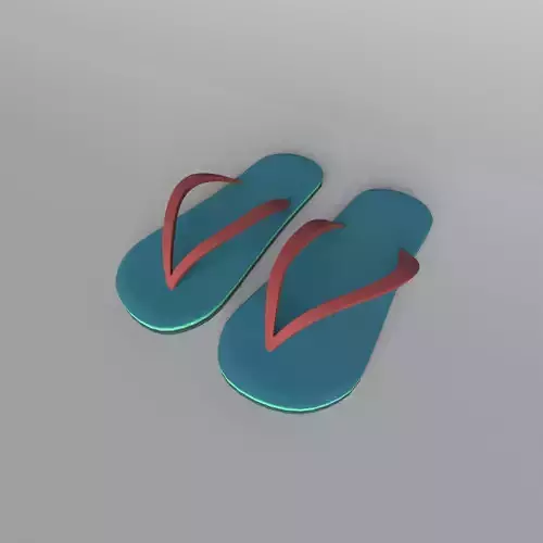 Flip Flops v3 001