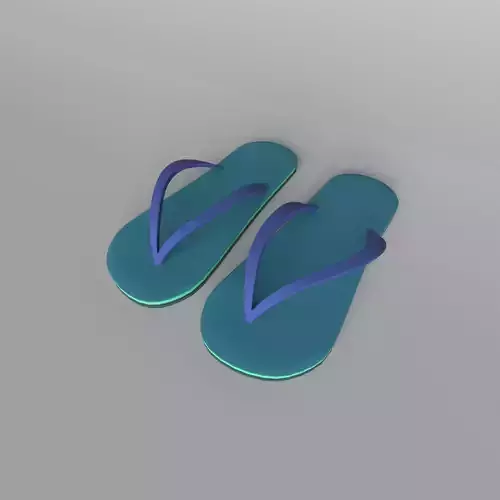 Flip Flops v3 002