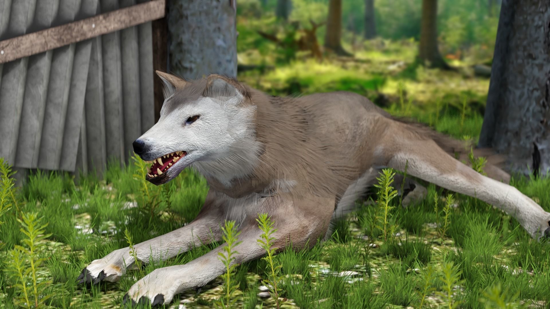 Brown Wolf Animated game ready with fur Low-poly 3D model_9