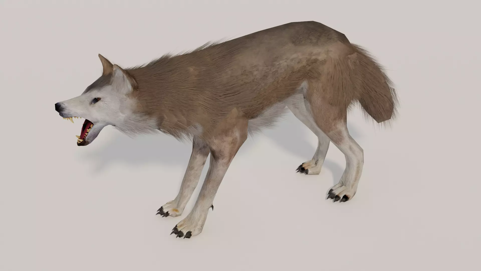 Brown Wolf Animated game ready with fur Low-poly 3D model_0
