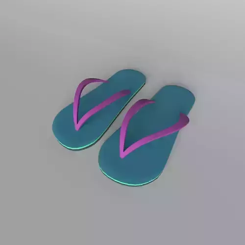 Flip Flops v3 003