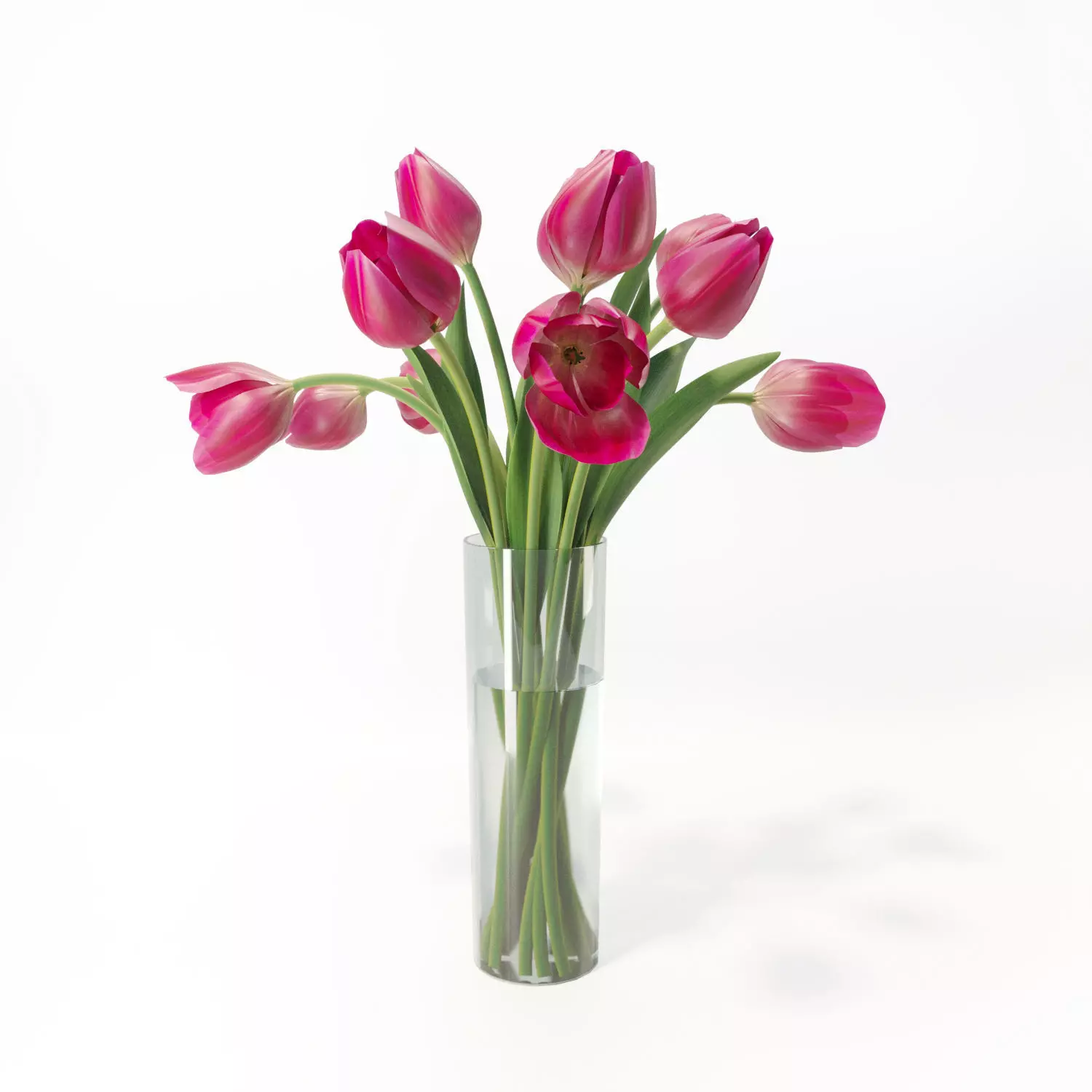 bouquet of tulips 3D model_0