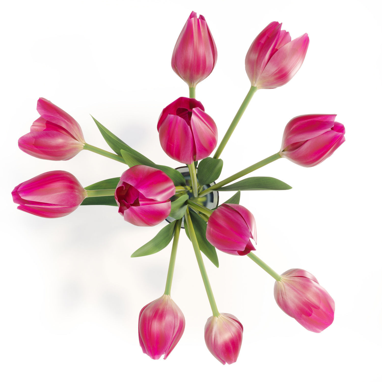 bouquet of tulips 3D model_2