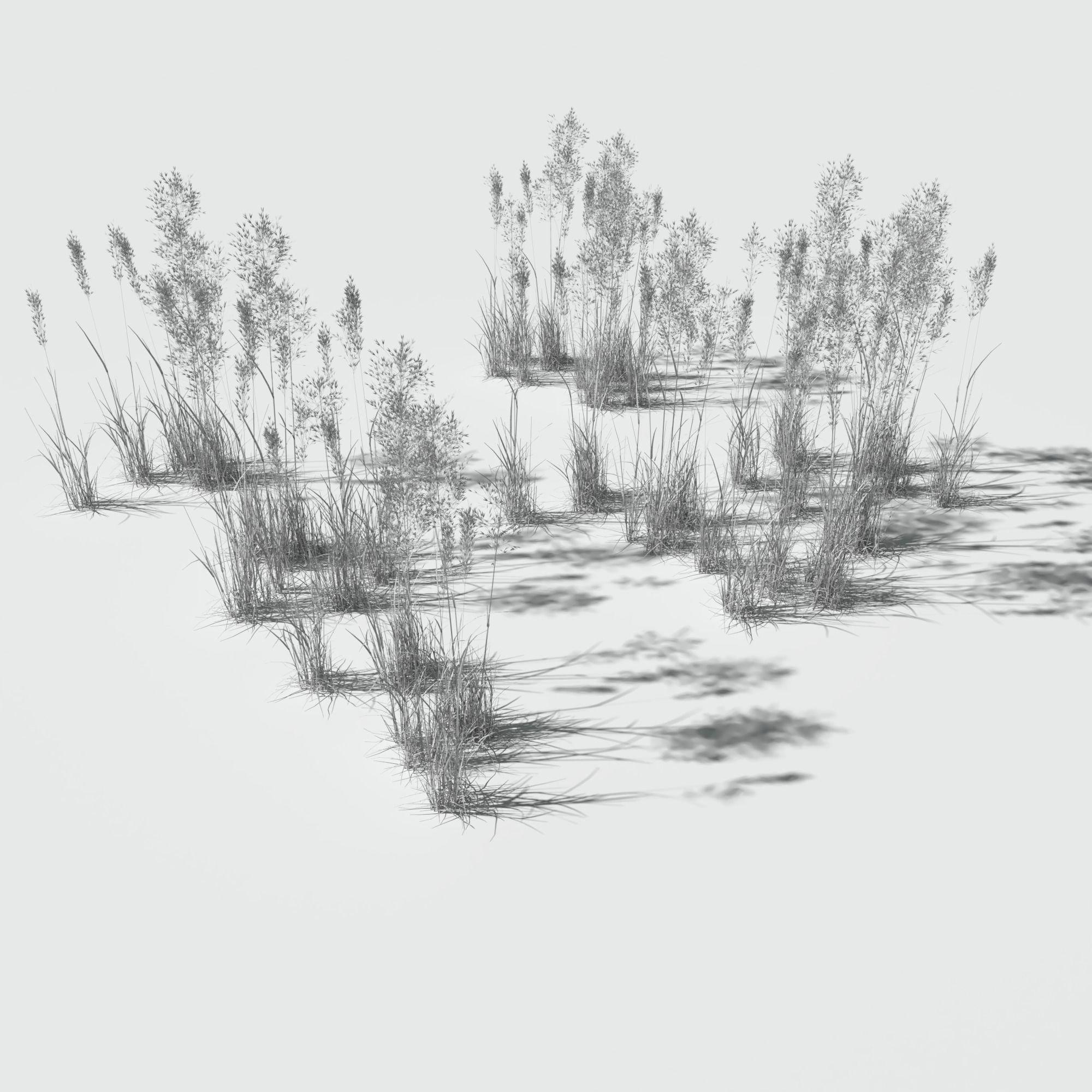 Dry Bent Gras Meadow Patch 3D model_11