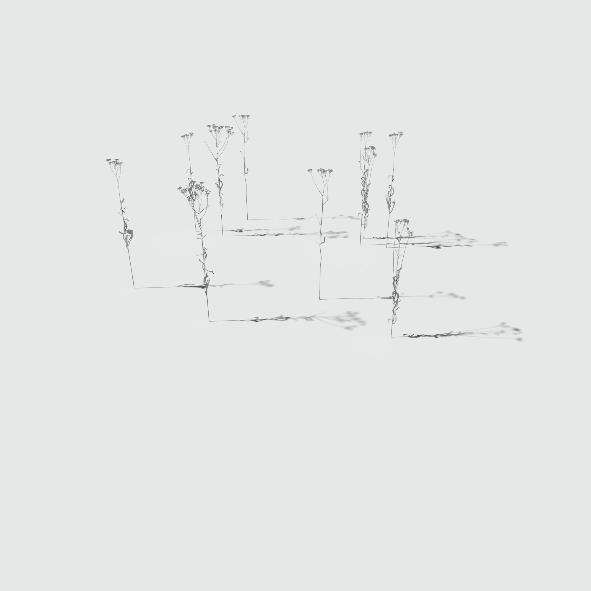 Dry Bent Gras Meadow Patch 3D model_7