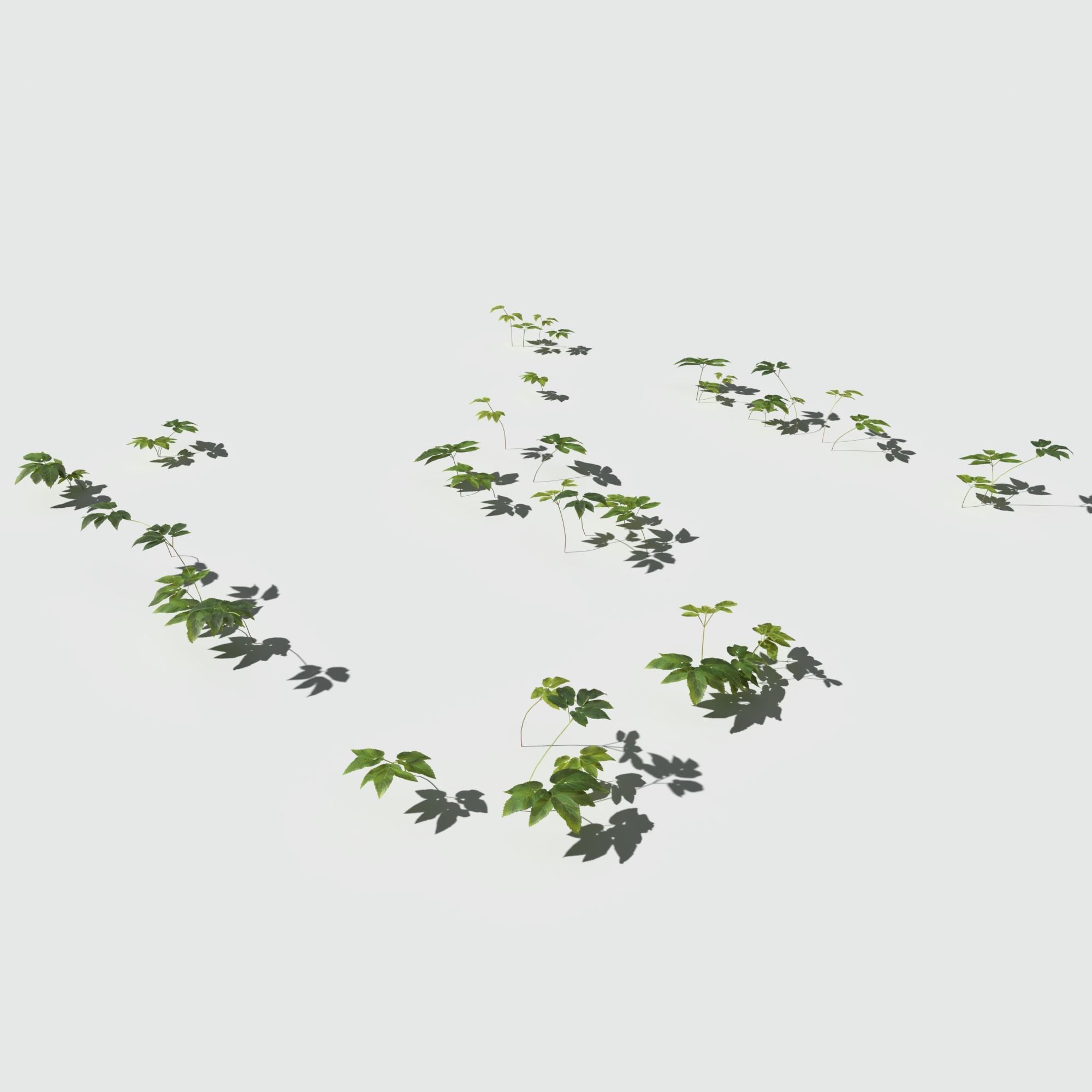 Dry Bent Gras Meadow Patch 3D model_14