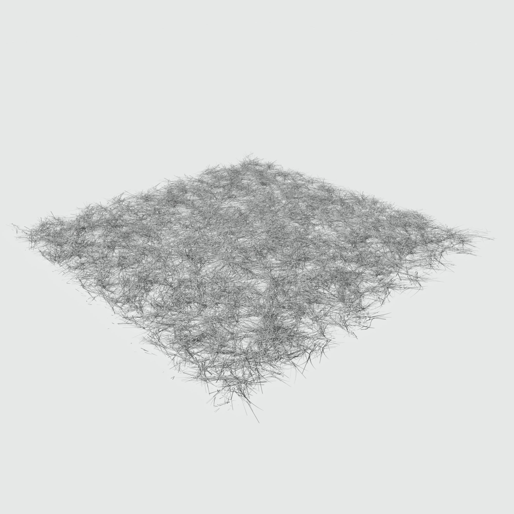 Dry Bent Gras Meadow Patch 3D model_9