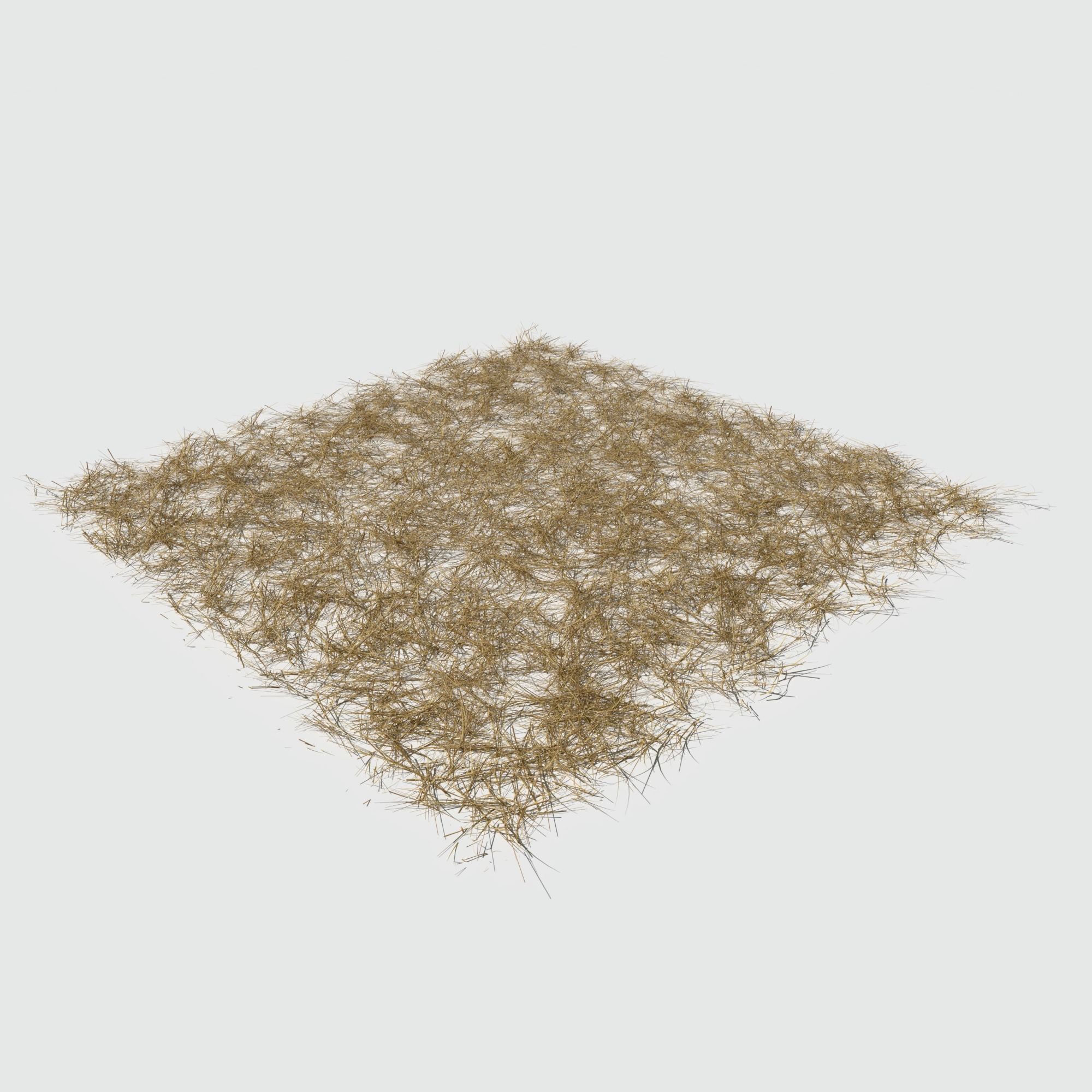 Dry Bent Gras Meadow Patch 3D model_8