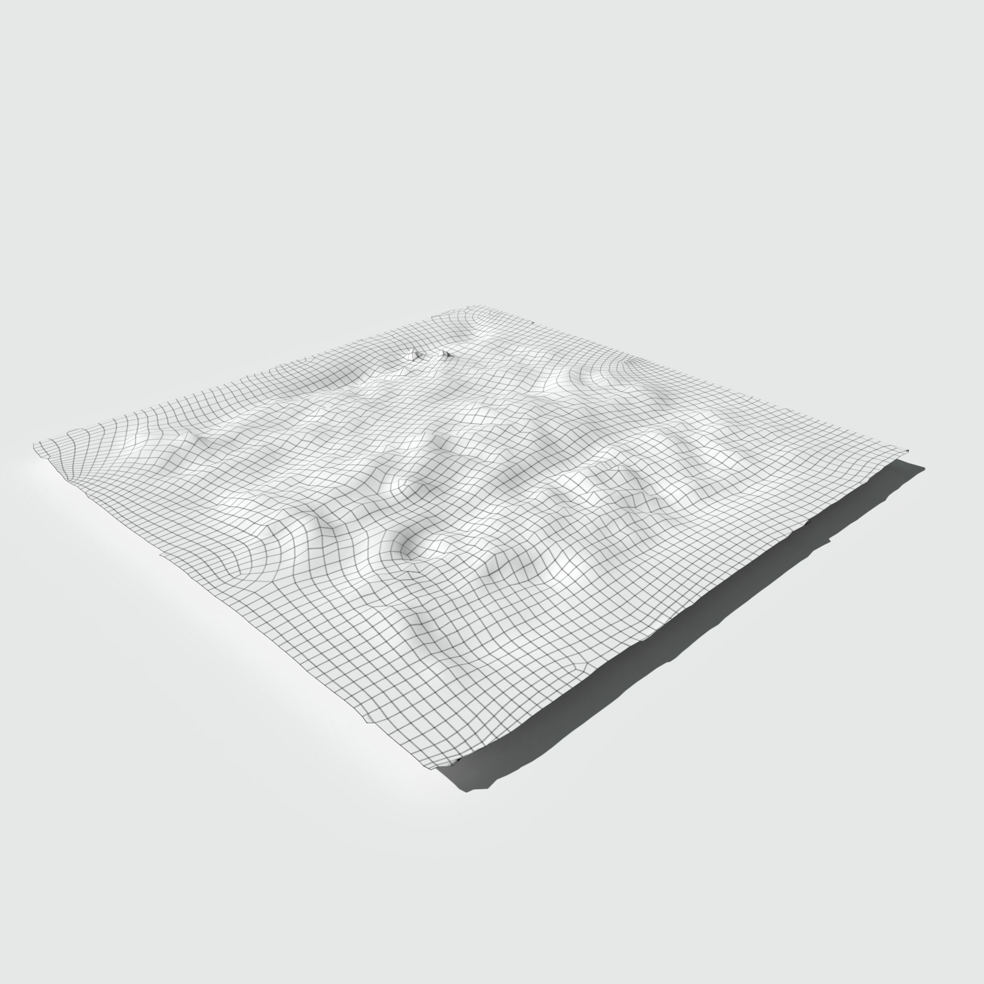 Dry Bent Gras Meadow Patch 3D model_5