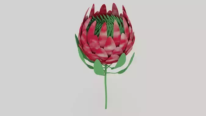 絵画 額縁付 プロテア protea 🖼️ Stain Glass Protea Frame・ STL File for ・Cults