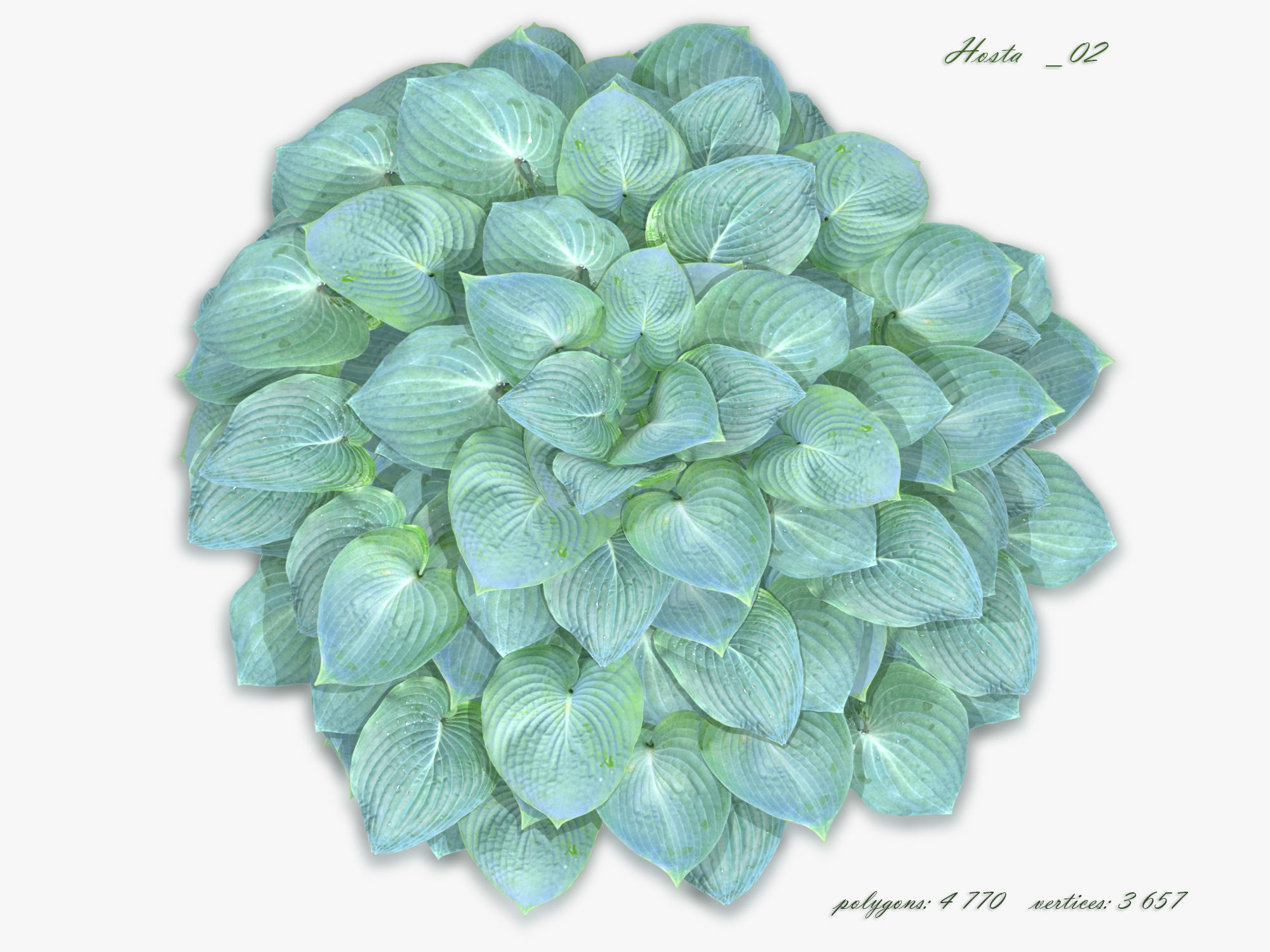 Hosta Stone Low-poly 3D model_4