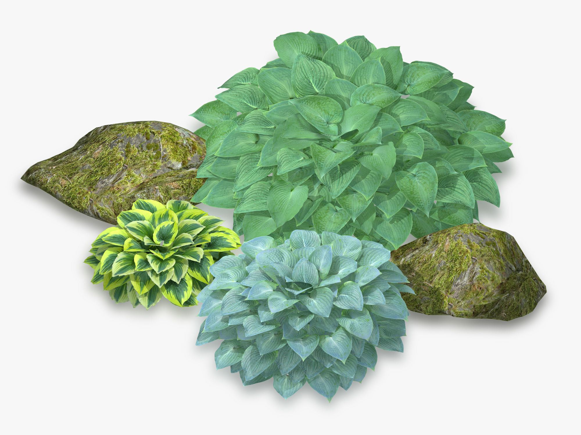 Hosta Stone Low-poly 3D model_16