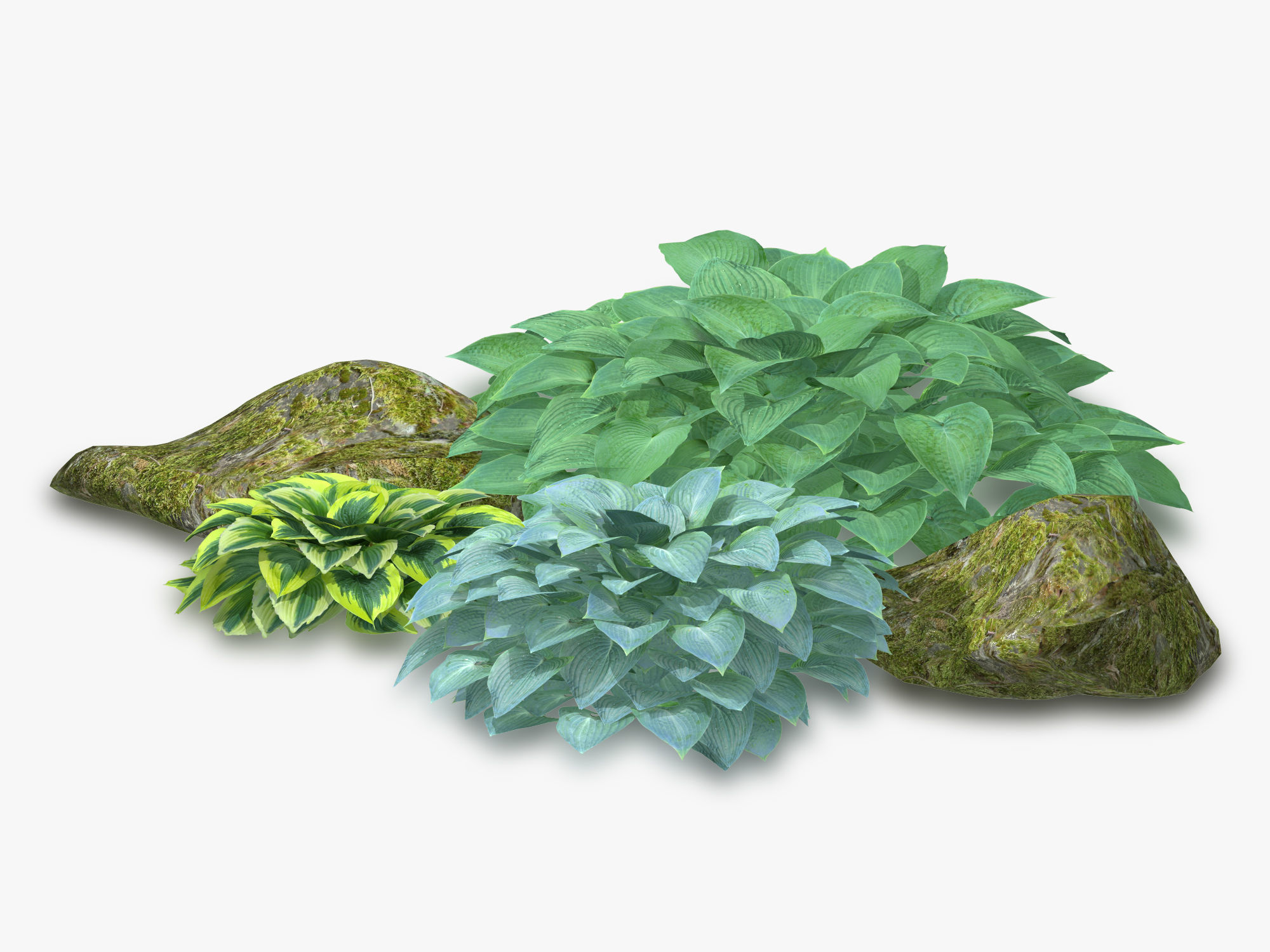 Hosta Stone Low-poly 3D model_17