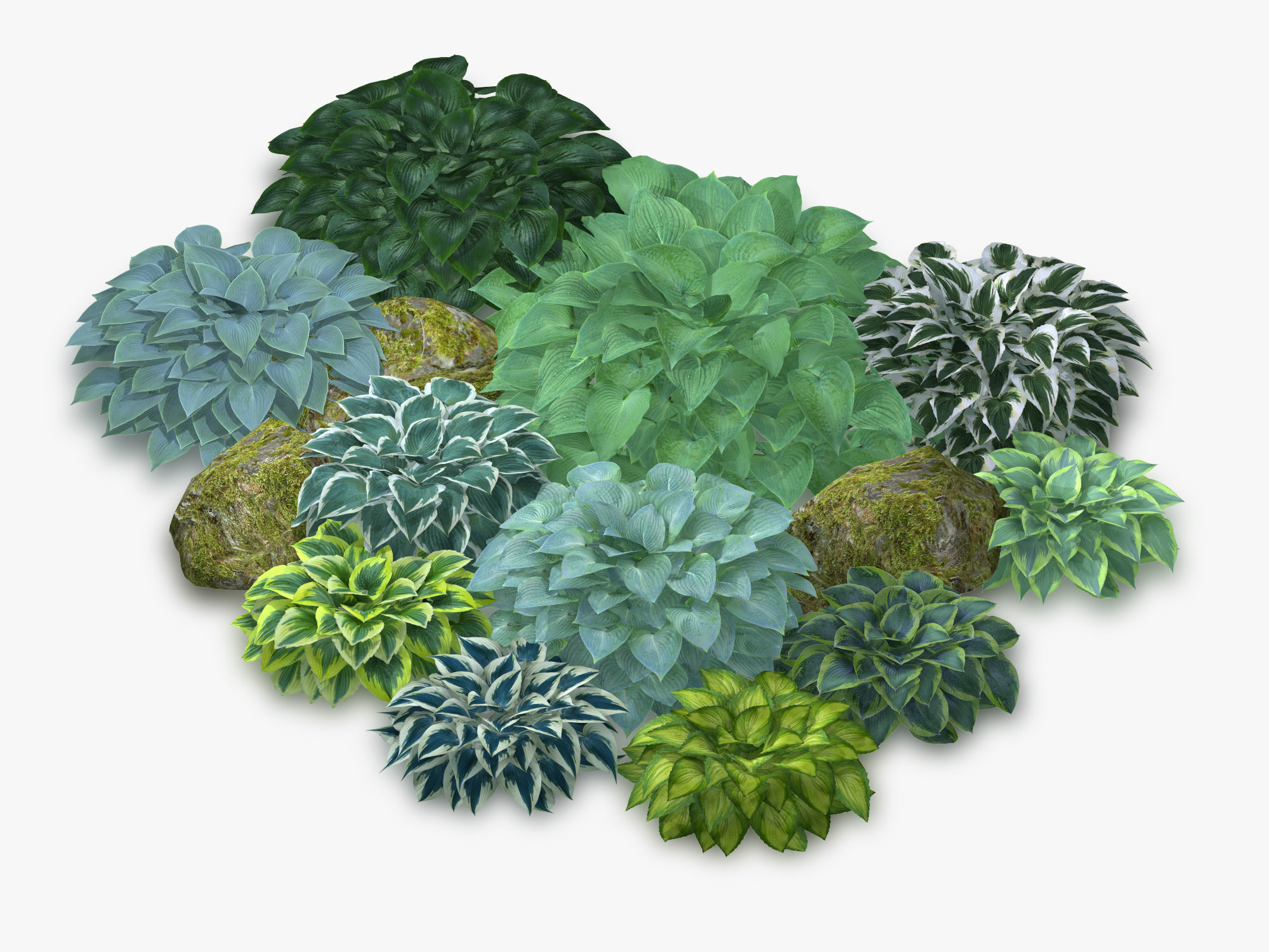 Hosta Stone Low-poly 3D model_20