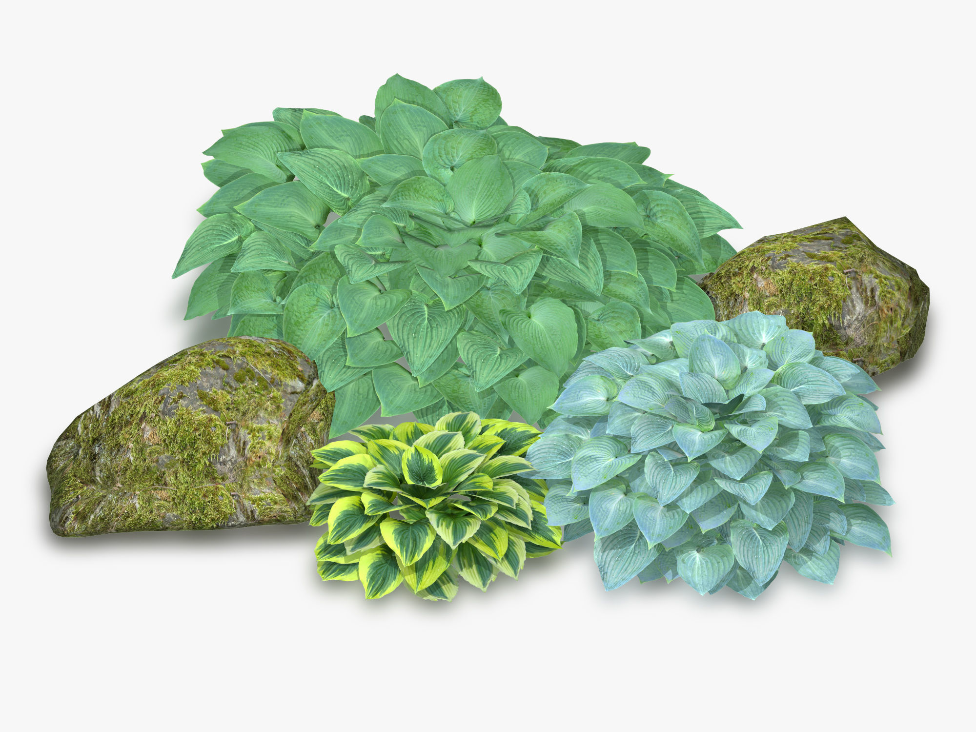 Hosta Stone Low-poly 3D model_18