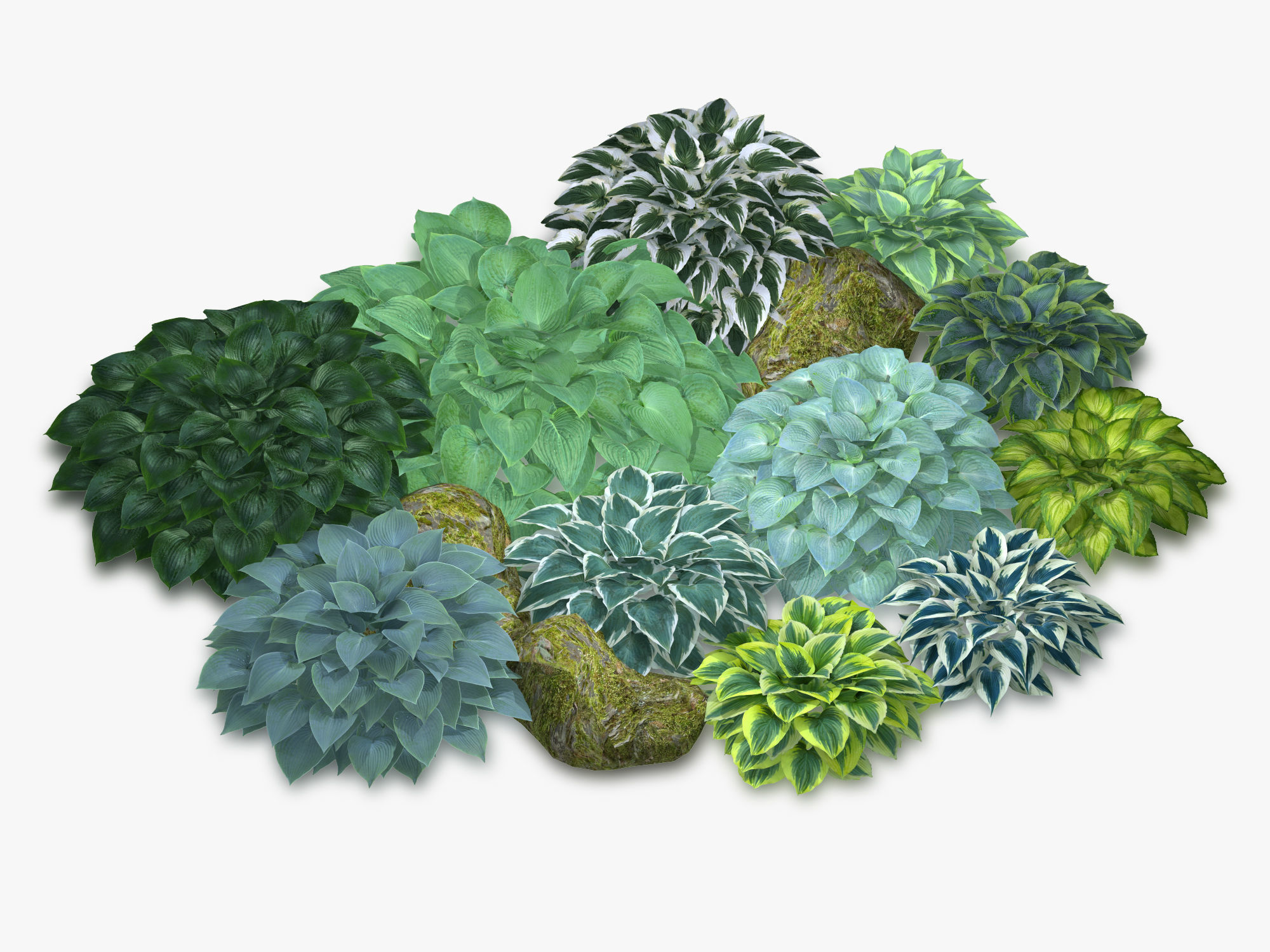 Hosta Stone Low-poly 3D model_25