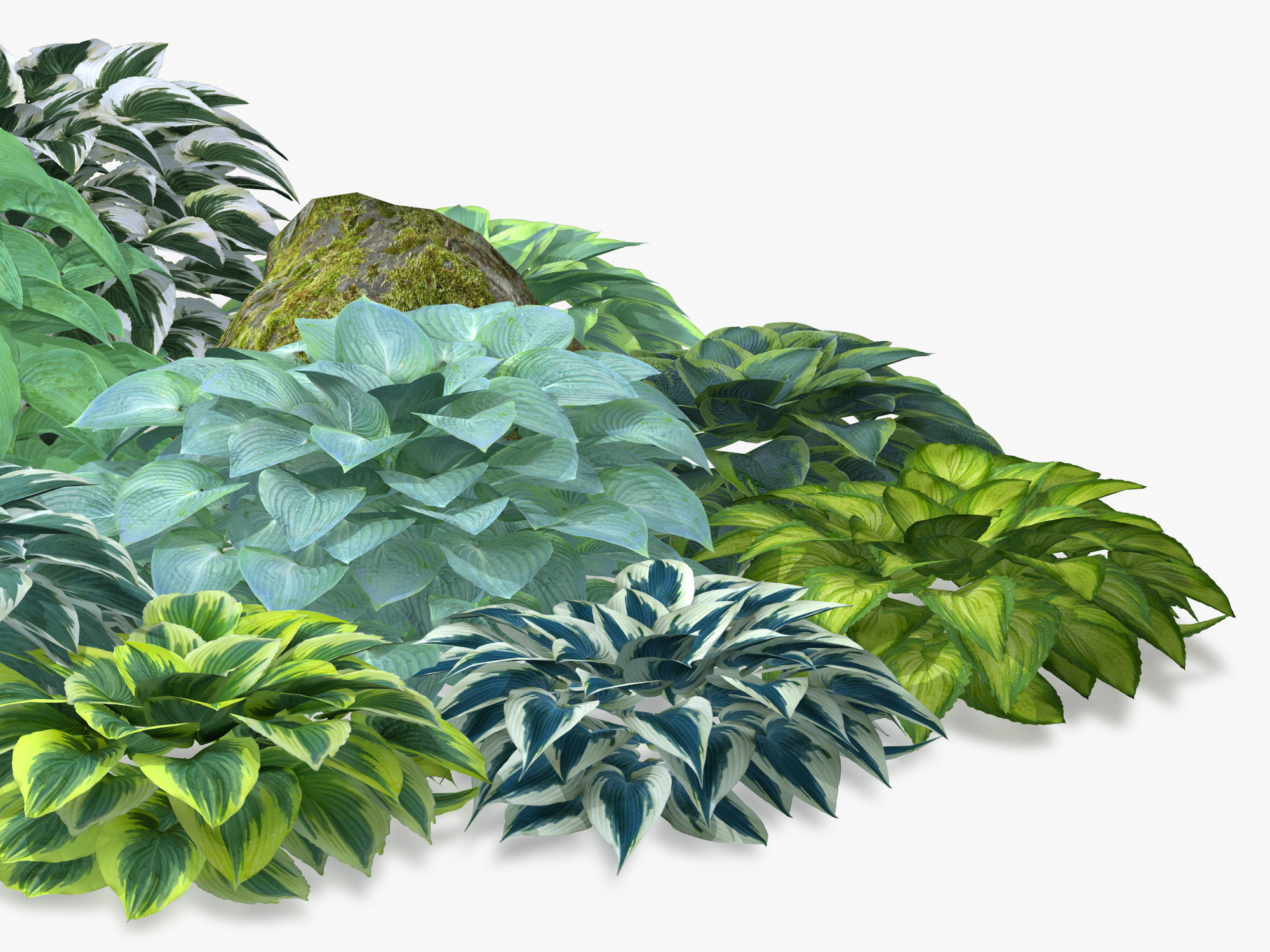 Hosta Stone Low-poly 3D model_24