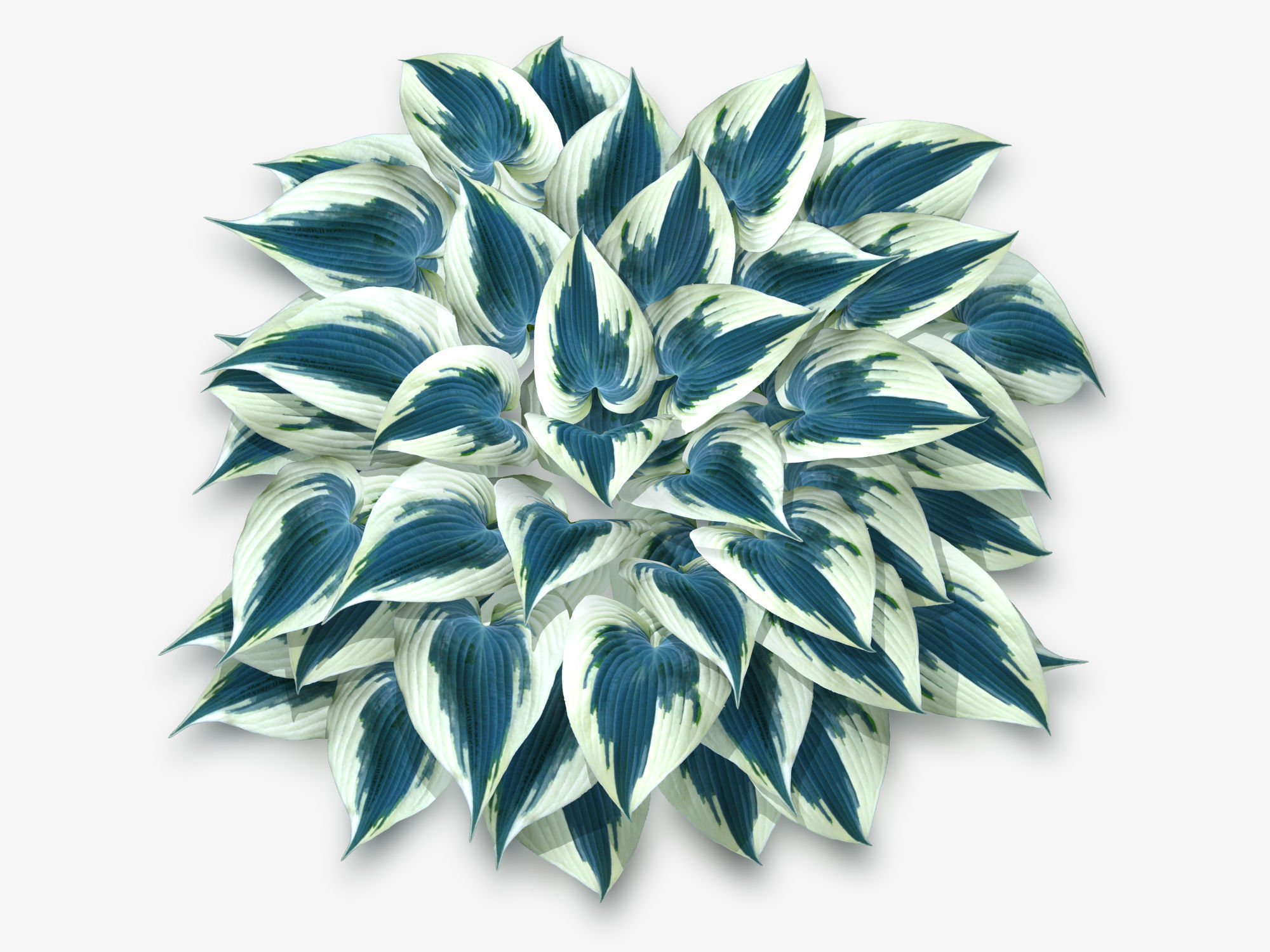 Hosta Stone Low-poly 3D model_13