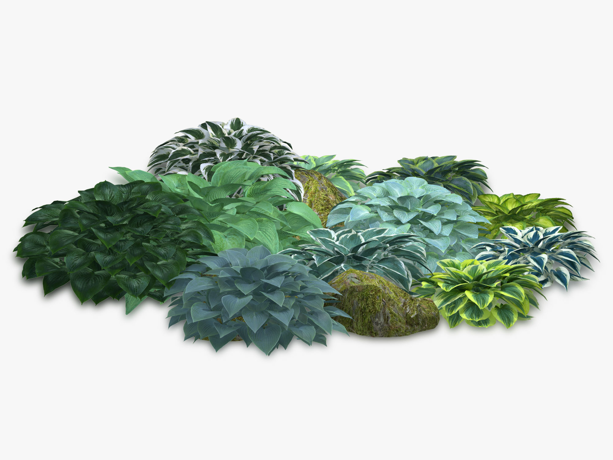 Hosta Stone Low-poly 3D model_26