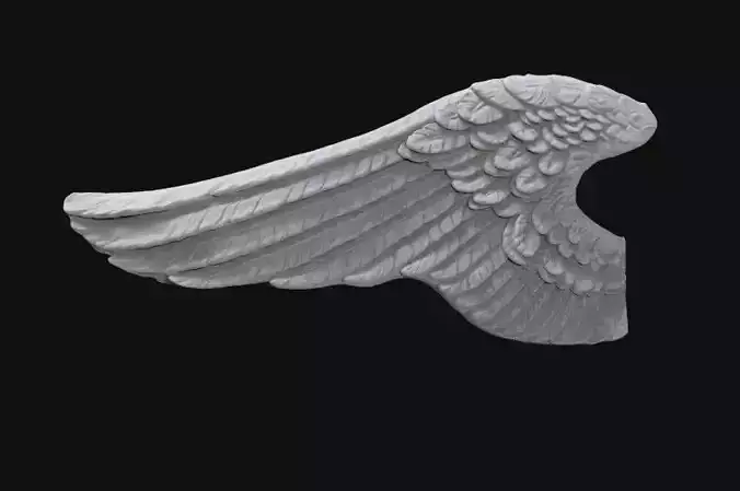 3D Model Wings angel wing