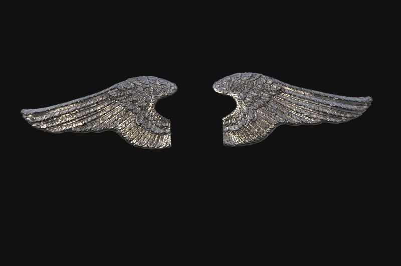 3D Model Wings angel wing 3D print model_11