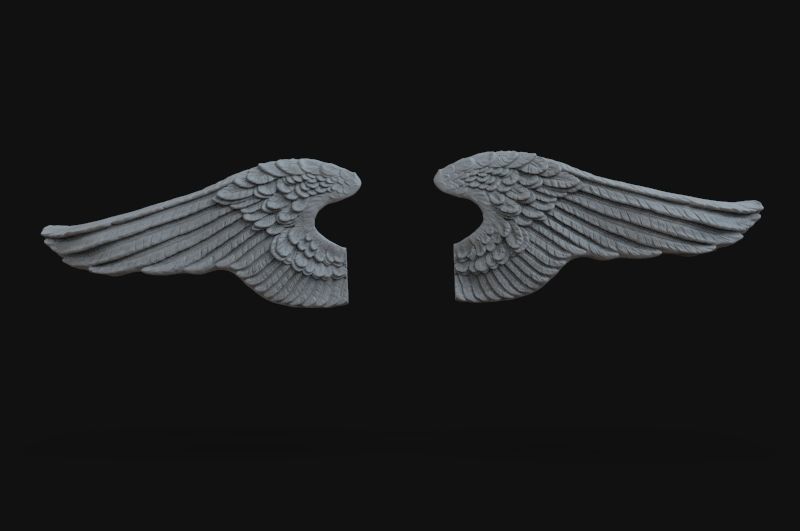 3D Model Wings angel wing 3D print model_6