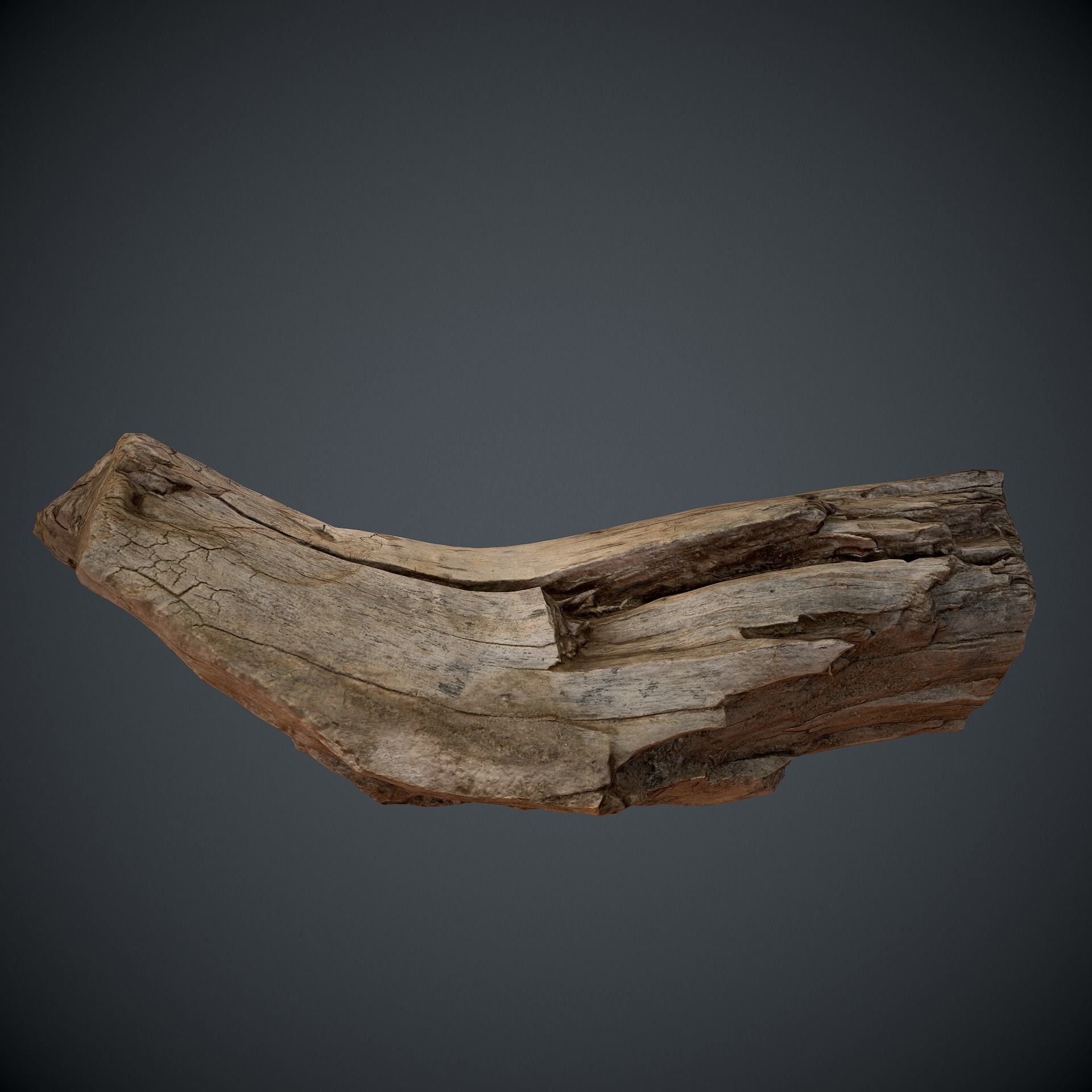 scan wood Low-poly 3D model_5
