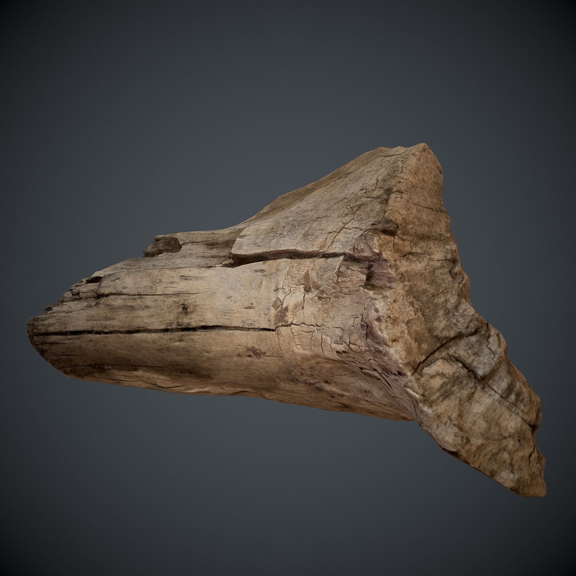 scan wood Low-poly 3D model_6