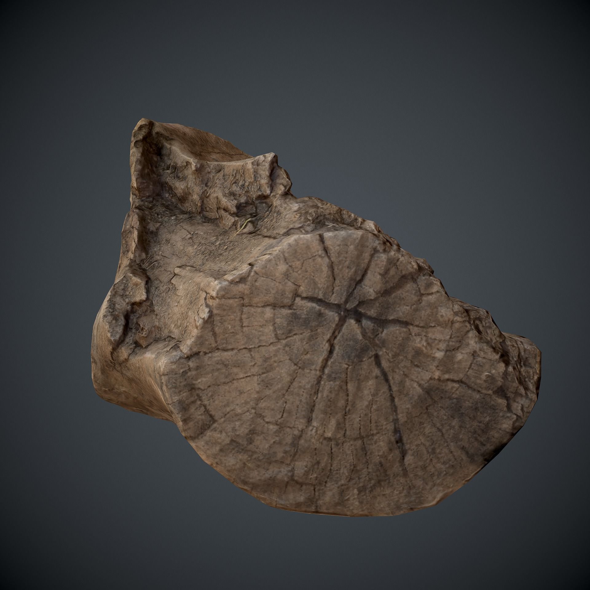 scan wood Low-poly 3D model_10