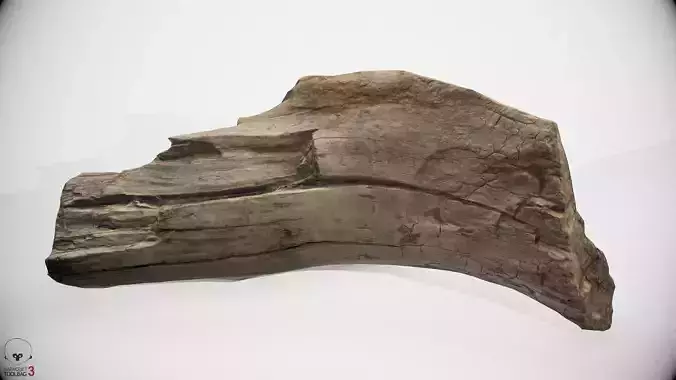 scan wood