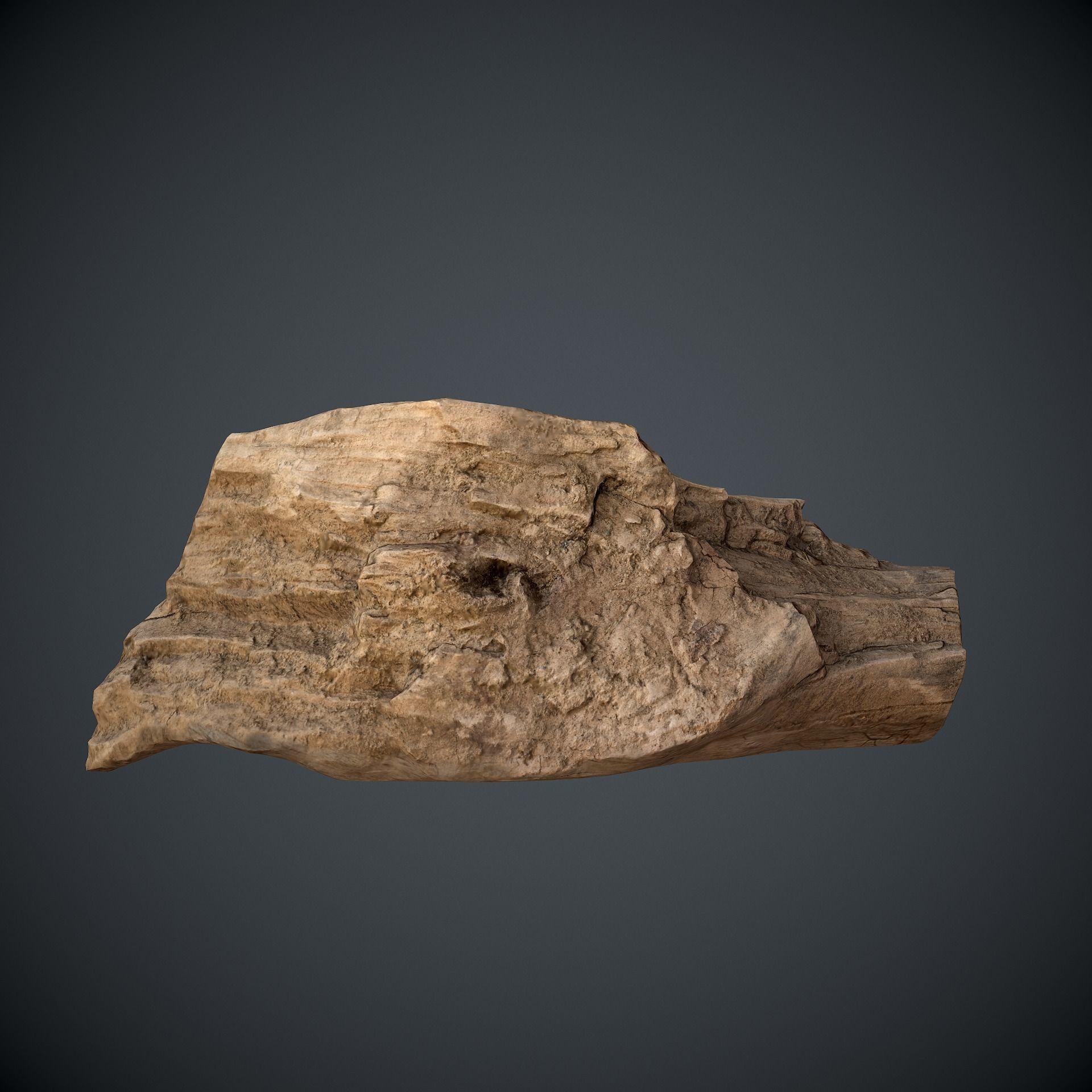scan wood Low-poly 3D model_8