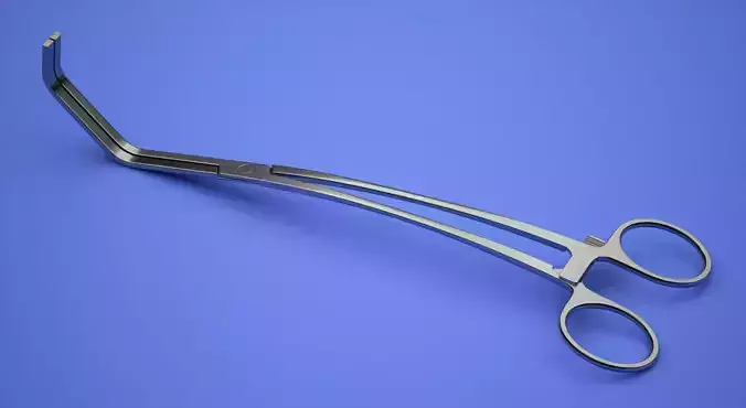  Surgical Forceps 3D model