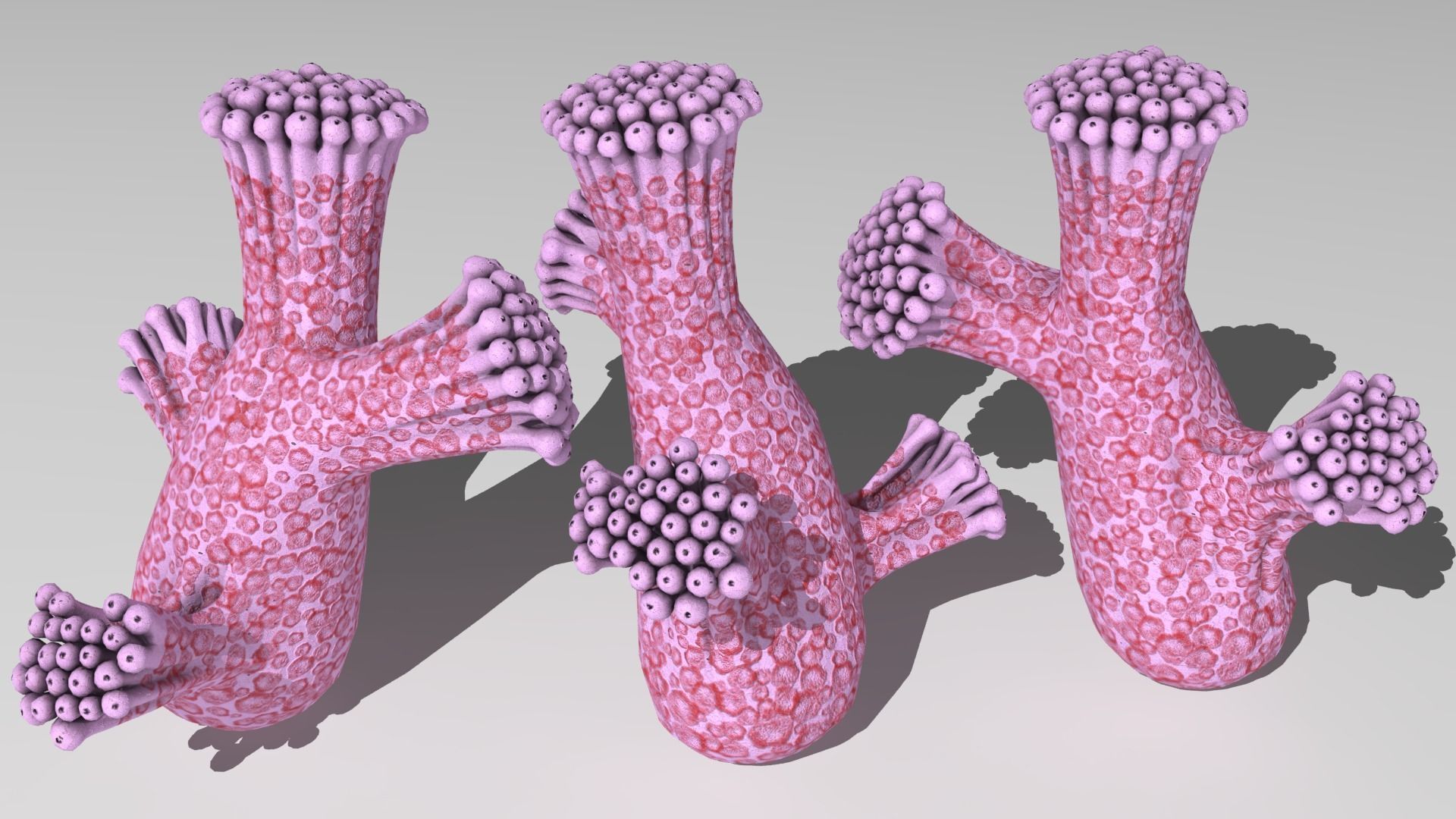 alien plants Low-poly 3D model_9