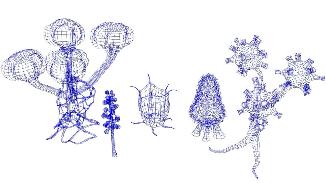 alien plants Low-poly 3D model_21