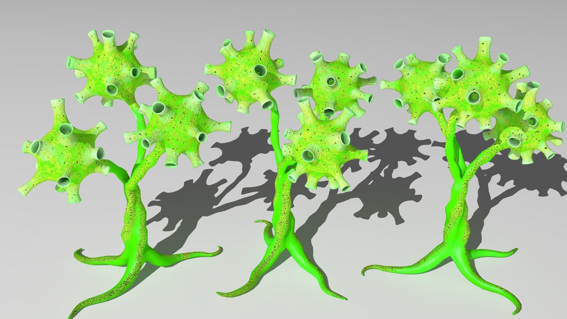 alien plants Low-poly 3D model_7