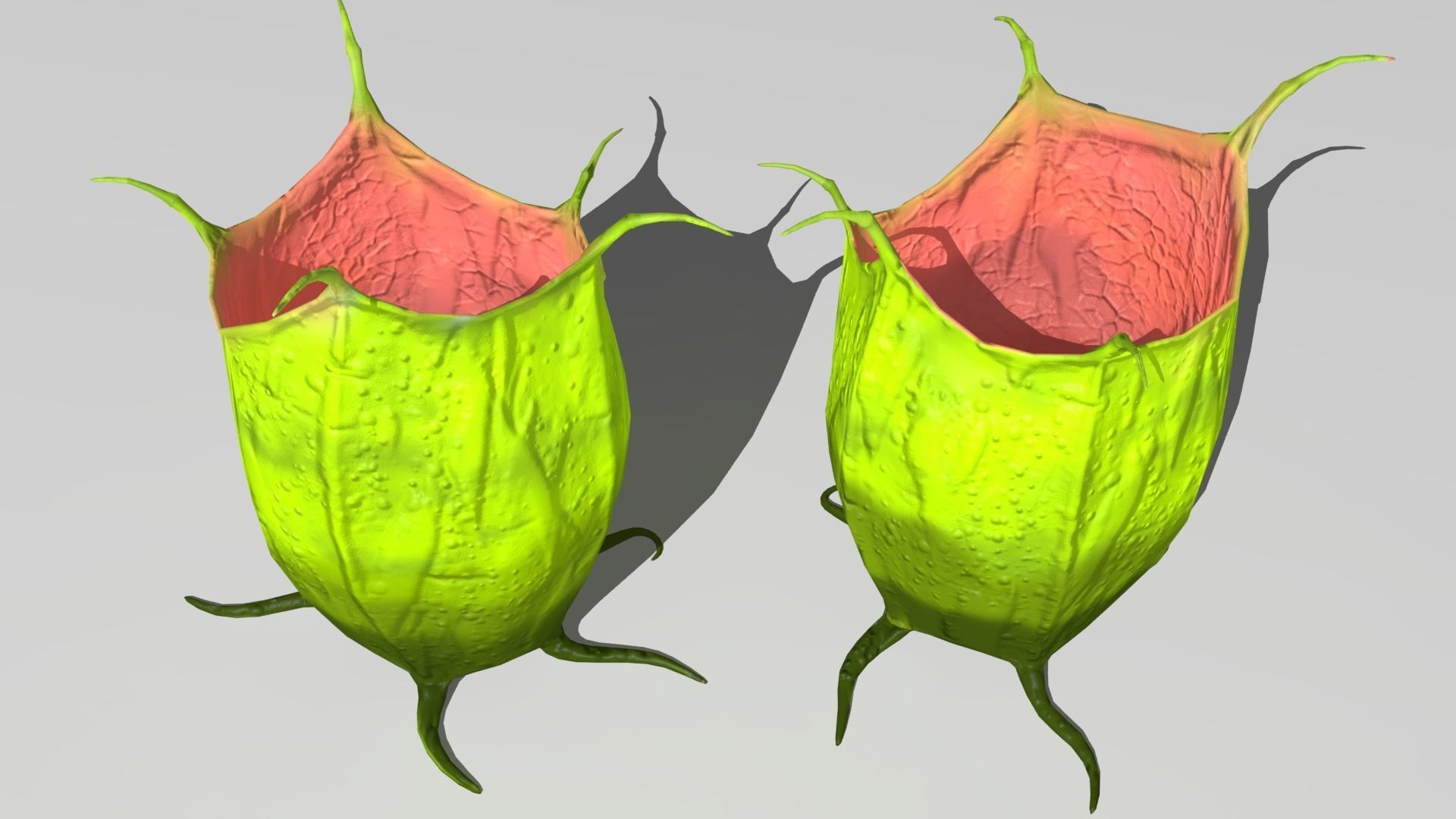 alien plants Low-poly 3D model_10