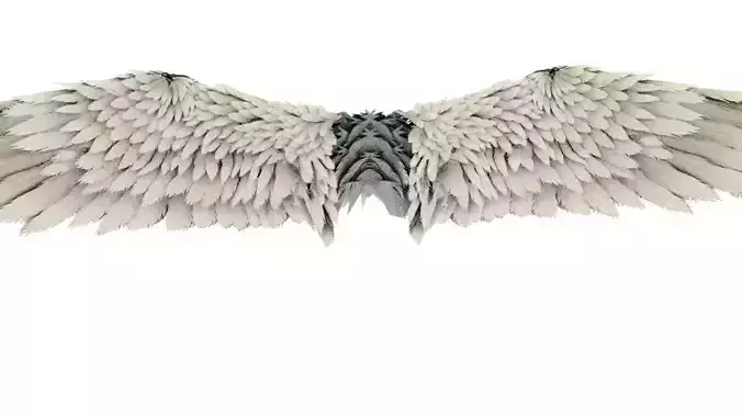 Wing angel 3d model