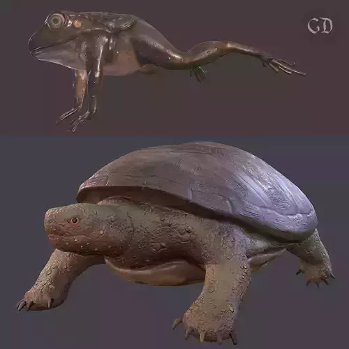 Turtle and Frog Pack 3D Model Collection