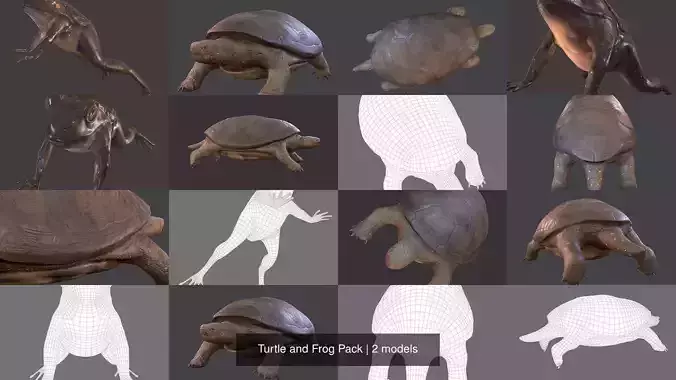 Turtle and Frog Pack