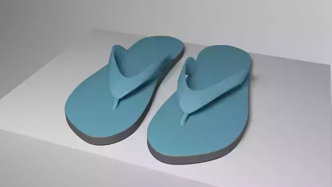 Slippers pair of flip flops