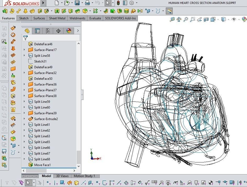 HUMAN HEART CROSS SECTION ANATOMY 3D model_7