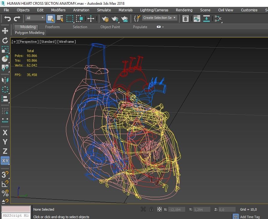 HUMAN HEART CROSS SECTION ANATOMY 3D model_9