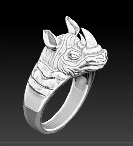 Rhino Ring  3D  Model