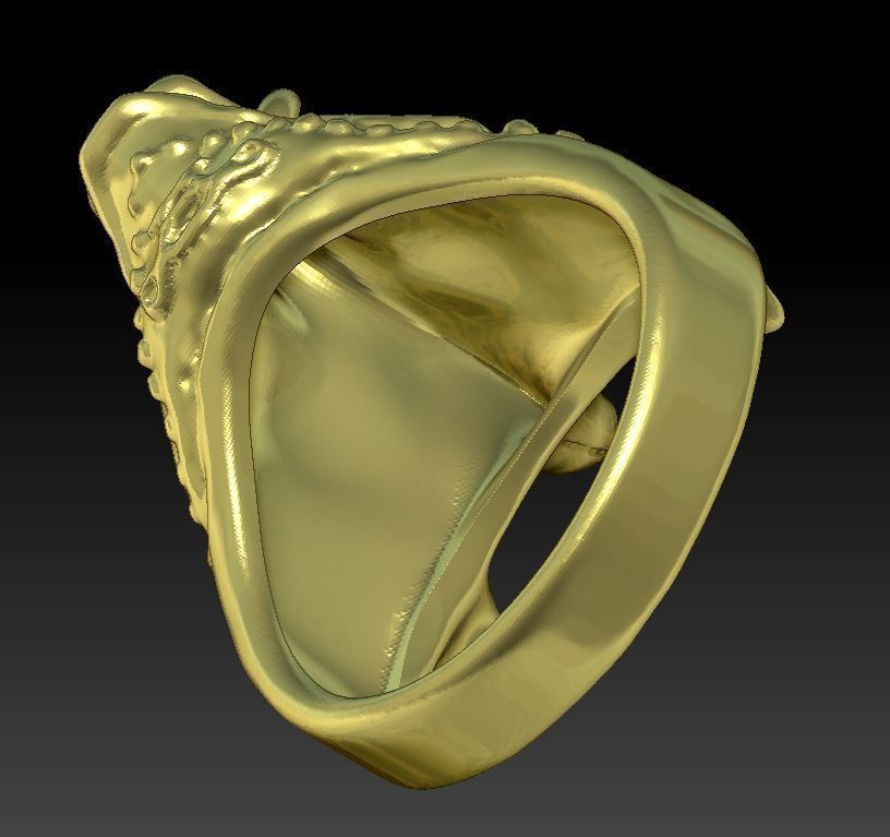 Boar Ring 3D print model_5