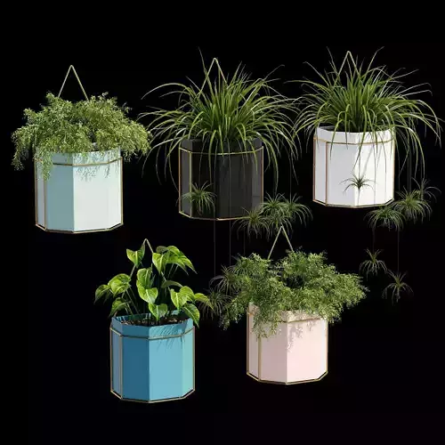 Uyova plant pots