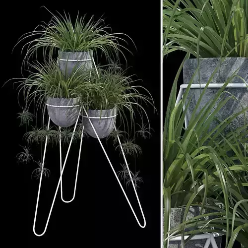 Holds planter with plants