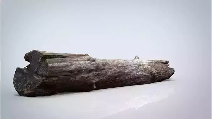 DEAD TREE TRUNK Low-poly 3D model